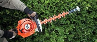Hedge_Trimming